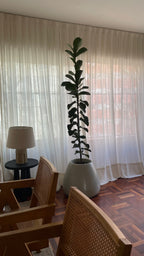 Cortinas de Gasa - A medida image 2
