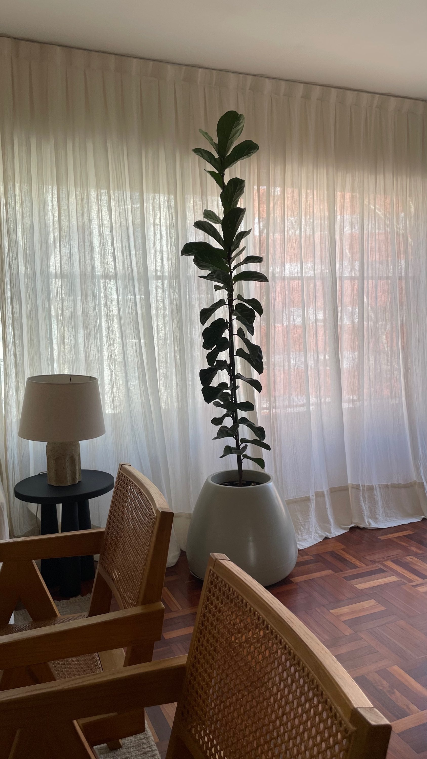 Cortinas de Gasa - A medida image 2
